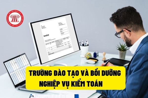 Trường Đào tạo và Bồi dưỡng nghiệp vụ kiểm toán (Hình từ Internet)