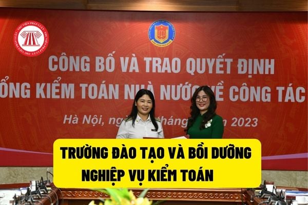 Phòng Quản lý đào tạo và bồi dưỡng Trường Đào tạo và Bồi dưỡng nghiệp vụ kiểm toán có những nhiệm vụ và quyền hạn gì?