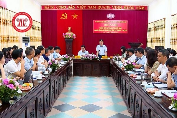 Pháp luật