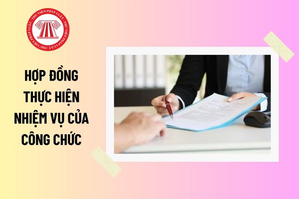 Pháp luật