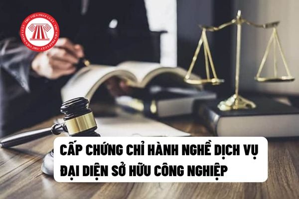 Đối tượng đủ điều kiện cấp Chứng chỉ hành nghề dịch vụ đại diện sở hữu công nghiệp?