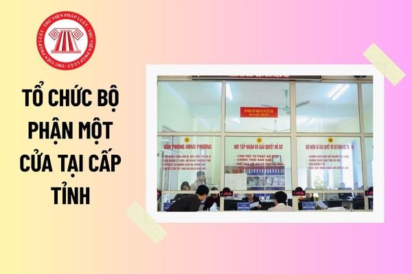 Pháp luật