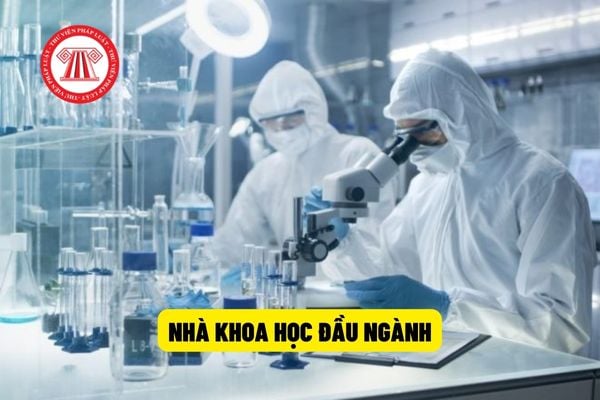 Nhà khoa học đầu ngành được hỗ trợ kinh phí tham dự hội thảo khoa học chuyên ngành ở trong nước bao nhiêu lần?