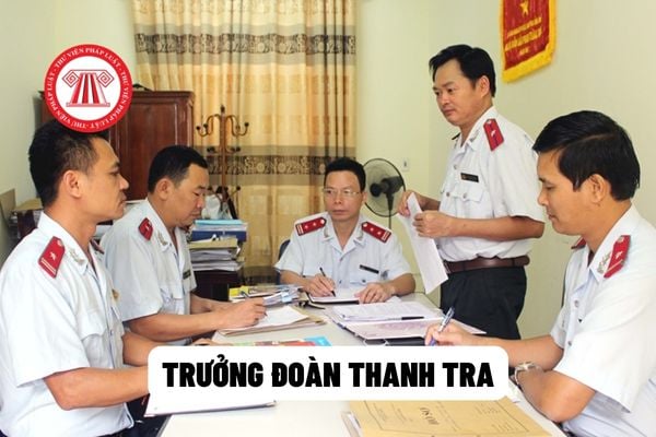 Trưởng đoàn thanh tra