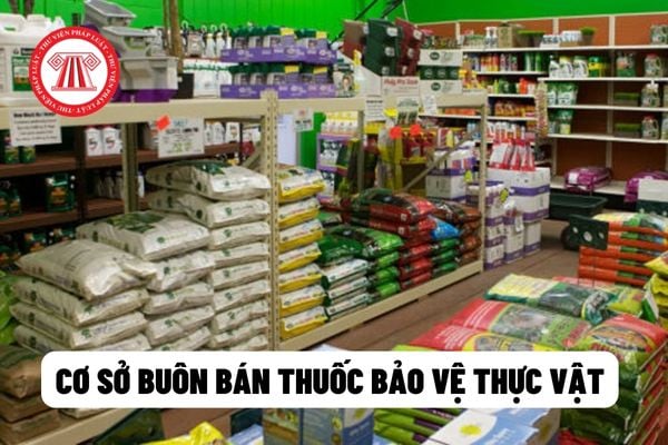 cơ sở buôn bán thuốc bảo vệ thực vật 