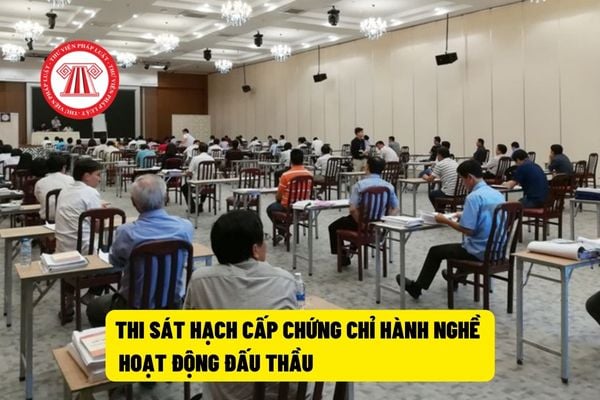  thi sát hạch cấp chứng chỉ hành nghề hoạt động đấu thầu