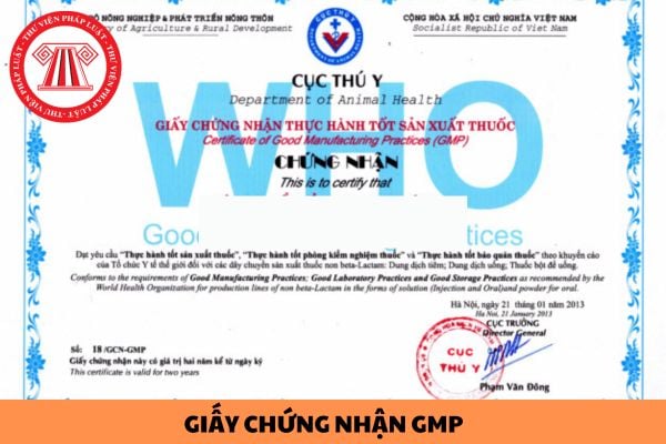 Giấy chứng nhận GMP trong thú y là gì? Hồ sơ xin cấp Giấy chứng nhận GMP về sản xuất thuốc thú y?