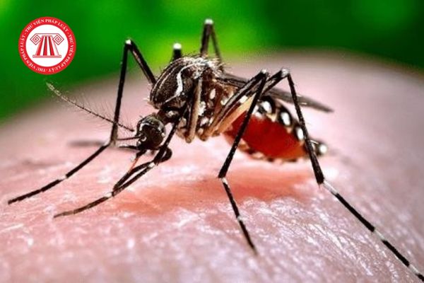 Giám sát và thống kê báo cáo thường kỳ về bệnh sốt xuất huyết Dengue phải cập nhật những thông tin gì?