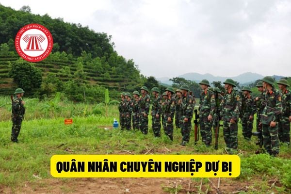 Quân nhân chuyên nghiệp dự bị được xếp vào đơn vị dự bị động viên thì mức phụ cấp được hưởng như thế nào?