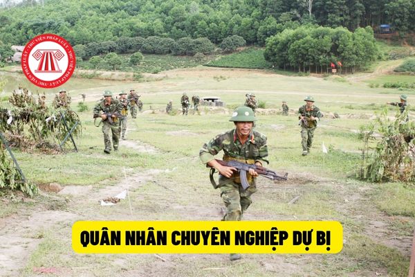 Quân nhân chuyên nghiệp để có thể đào tạo sĩ quan dự bị cần đáp ứng những điều kiện nào?