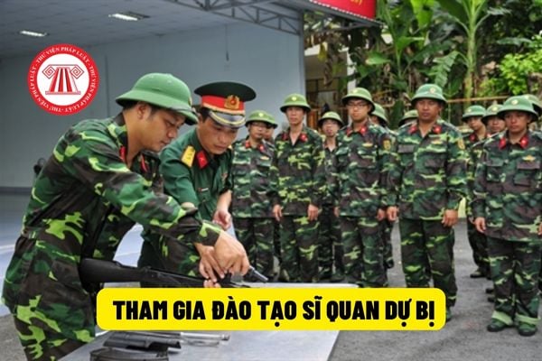  đào tạo sĩ quan dự bị