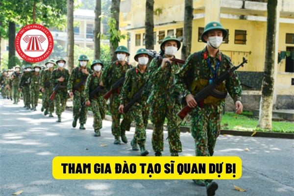 đào tạo sĩ quan dự bị