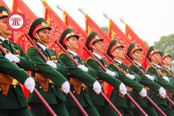 Quân hiệu của Quân đội nhân dân Việt Nam có hình dáng như thế nào?