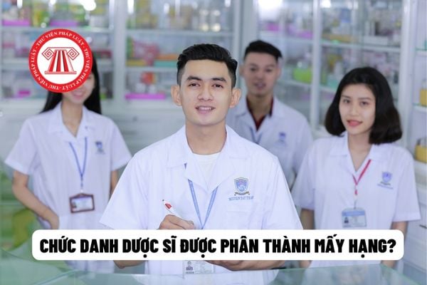 Chức danh Dược sĩ được phân thành mấy hạng?