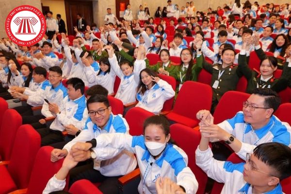 Tổ chức thanh niên có bao gồm Hội Sinh viên Việt Nam? Chính sách của nhà nước đối với Hội sinh viên Việt Nam theo quy định pháp luật? 