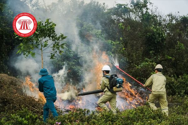 Chủ tịch Ủy ban nhân dân cấp xã có được chỉ đạo chữa cháy rừng hay không?	