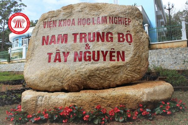 Viện Khoa học Lâm nghiệp Việt Nam có được mở tài khoản tại Kho bạc và Ngân hàng Nhà nước hay không?