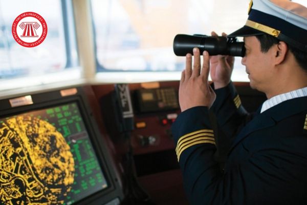 Ban giám khảo, hội đồng sát hạch sỹ quan kiểm tra tàu biển Việt Nam có những nhiệm vụ và quyền hạn gì?