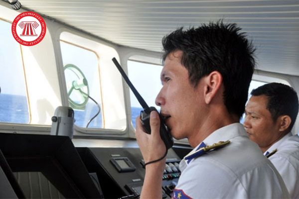 Hồ sơ cấp thẻ sỹ quan kiểm tra tàu biển Việt Nam gồm những giấy tờ nào? Có mấy loại thẻ sỹ quan kiểm tra tàu biển?