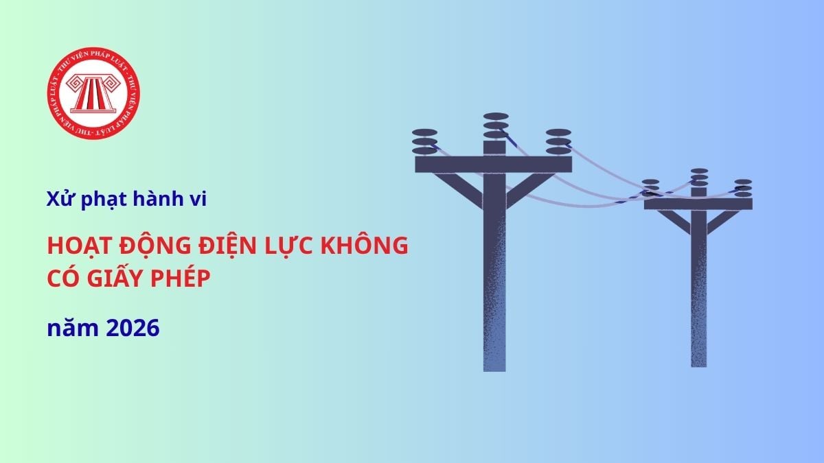 Pháp luật