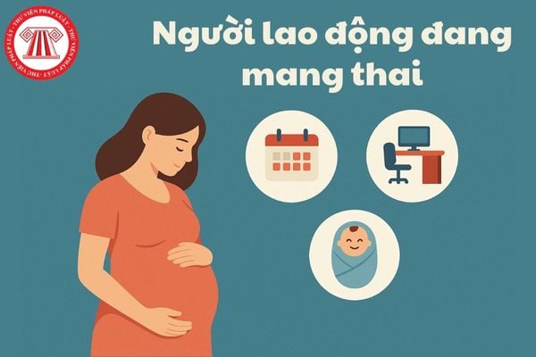 Pháp luật