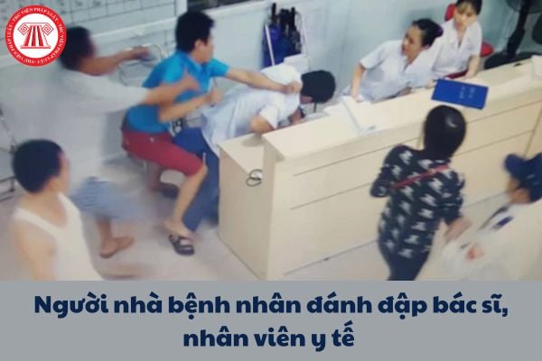Pháp luật