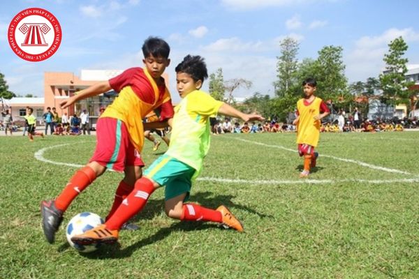 Quỹ Đầu tư và Phát triển tài năng bóng đá Việt Nam