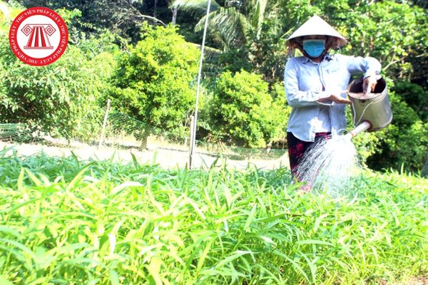 Quỹ Hỗ trợ Phụ nữ nông thôn Việt Nam
