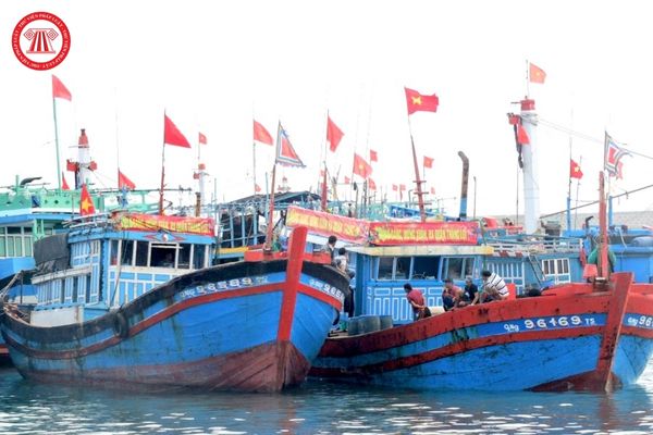 Xóa đăng ký tàu biển Việt Nam