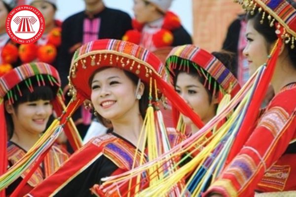 Hội Văn học nghệ thuật các dân tộc thiểu số Việt Nam