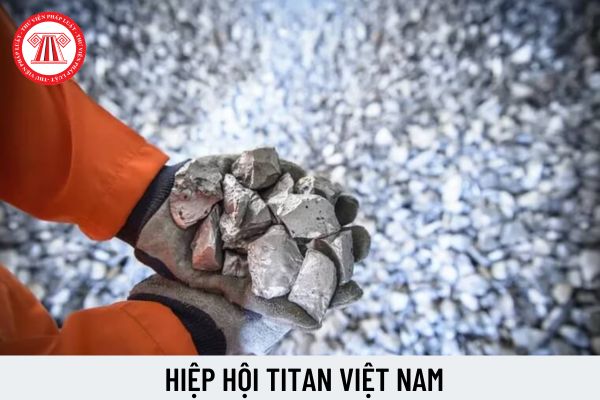 Hiệp hội Titan Việt Nam