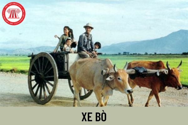 Xe bò