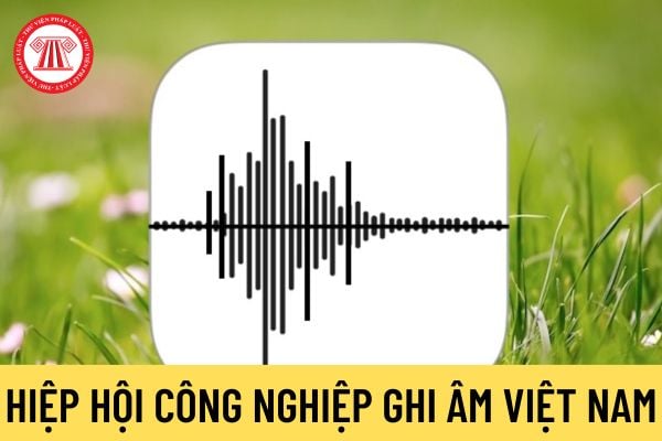 Hiệp hội Công nghiệp ghi âm Việt Nam