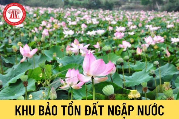 Khu bảo tồn đất ngập nước