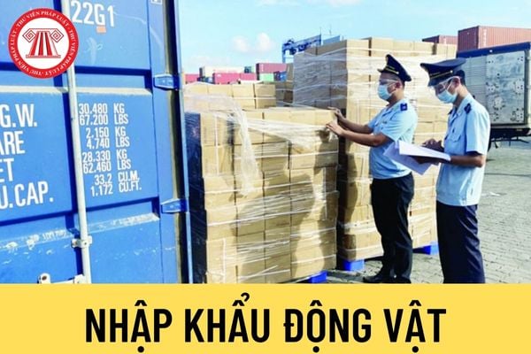 Nhập khẩu động vật