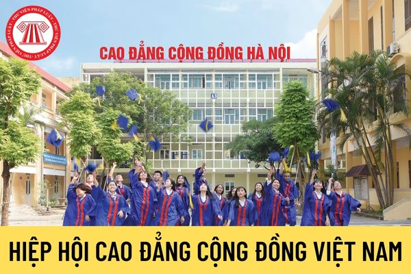 Hiệp hội Cao đẳng cộng đồng Việt Nam