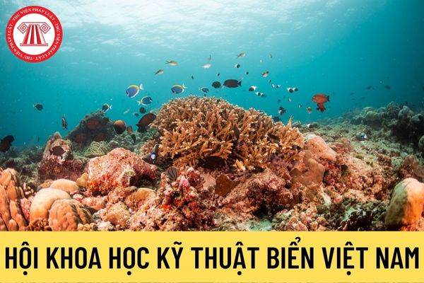 Hội Khoa học kỹ thuật Biển Việt Nam