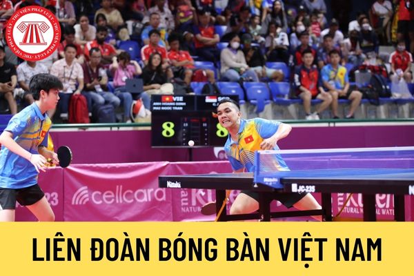 Liên đoàn Bóng bàn Việt Nam