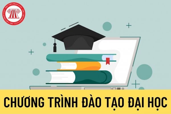 Chương trình đào tạo đại học