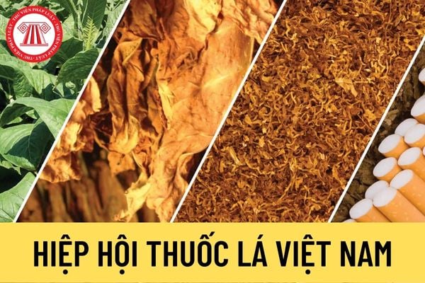 Hiệp hội Thuốc lá Việt Nam