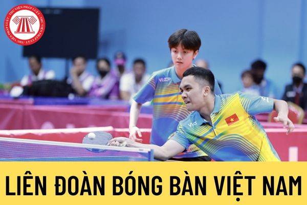 Liên đoàn Bóng bàn Việt Nam