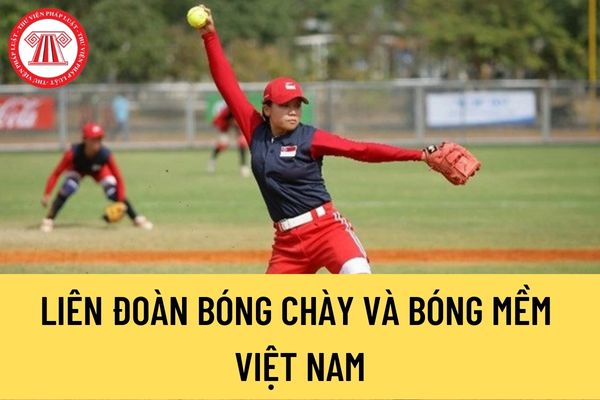 Liên đoàn Bóng chày và Bóng mềm Việt Nam