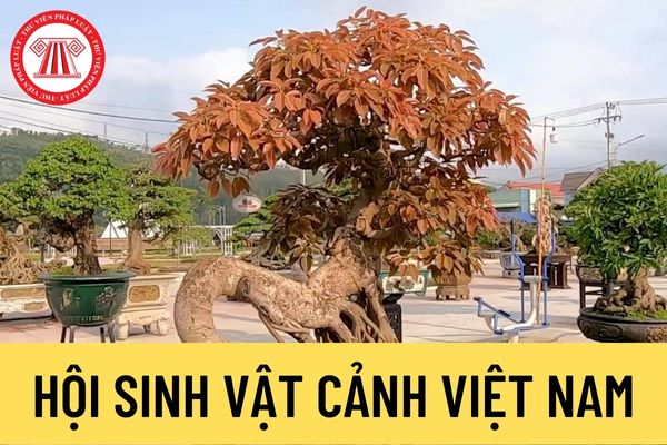 Hội Sinh vật cảnh Việt Nam