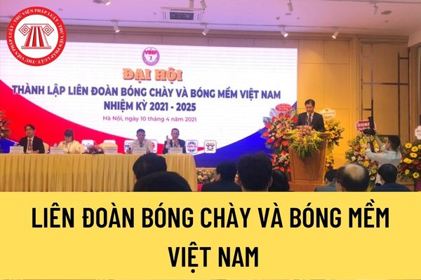 Liên đoàn Bóng chày và Bóng mềm Việt Nam