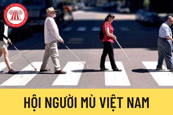 Hội Người mù Việt Nam