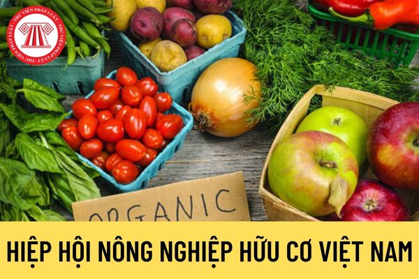 Hiệp hội Nông nghiệp hữu cơ Việt Nam