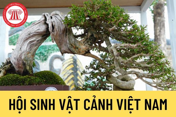 Hội Sinh vật cảnh Việt Nam
