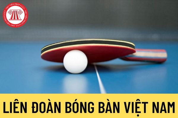 Liên đoàn Bóng bàn Việt Nam