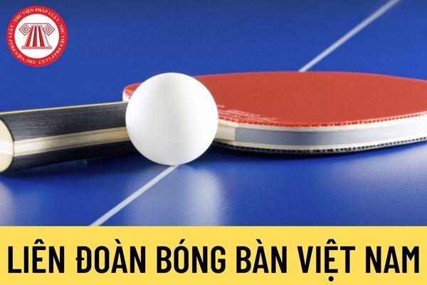 Liên đoàn Bóng bàn Việt Nam