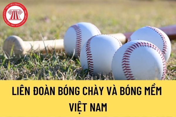 Liên đoàn Bóng chày và Bóng mềm Việt Nam